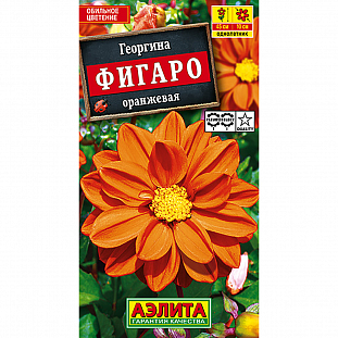 Семена Георгина Фигаро Махровая оранжевая