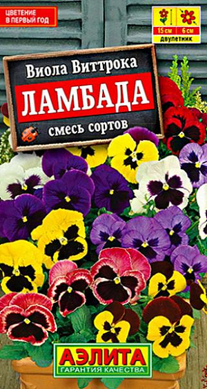 Семена&nbsp;Виола Ламбада смесь.&nbsp;Нарядная, раннецветущая смесь крупноцветковой виолы. Кустики быстро растут и развиваются, компактные, высотой не более 15 см. Цветки эффектные, яркие, диаметром 5-6 см. Обильно покрывают пушистые кустики вплоть до заморозков. Растения влаголюбивые, холодостойкие, хорошо выдерживают пересадку в цветущем состоянии. Смесь будет великолепно смотреться в составе клумб и миксбордеров. Украсит садовые и балконные контейнеры.<br>
 <br>
 &nbsp;Посадки располагают на солнечных или слегка затененных участках с плодородными, рыхлыми, влажными почвами. Виолы легко переносят пересадку в цветущем состоянии. Для цветения в год посева выращивают рассаду. При посеве в открытый грунт в июне–июле растения цветут на следующий год. Зимостойкость хорошая.<br>
 <br>
 <br>
 <br>
 <br>