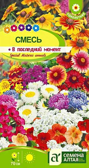 Семена Смесь в последний момент.<br>
Гармонично подобранная декоративная смесь из высоких (до 70 см) рано зацветающих и красивоцветущих однолетников. В состав смеси входят следующие растения: львиный зев, брахикома иберисолистная, ноготки лекарственные, каллистефус китайский, хризантема болотная, вьюнок трехцветный, гвоздика китайская, эшшольция калифорнийская, годеция крупноцветковая, иберис зонтичный, душистый горошек, льнянка марокканская и др. Используется для оформления бордюров, клумб, рабаток, для устройства разграничительных линий вдоль дорожек и аллей. Растения неприхотливые, нетребовательны в уходе. Предпочитают открытые солнечные участки на любых питательных почвах, переносят полутень. Семена высевают в открытый грунт в конце апреля-начале мая, их равномерно распределяют по поверхности грунта и слегка заделывают. Первые всходы появятся через 2 недели. Когда молодые всходы окрепнут, их нужно проредить так, чтобы между растениями был интервал 15-20 см. Поливать умеренно по мере высыхания верхнего слоя почвы. Период цветения с конца июня до конца сентября.