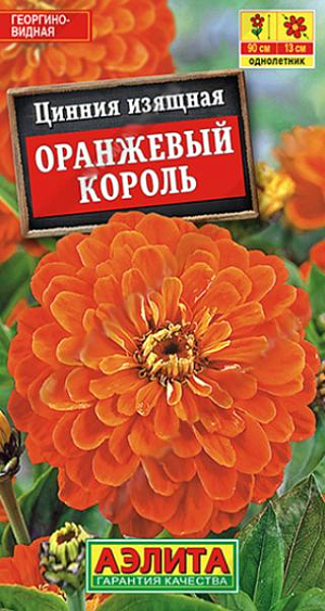 Семена&nbsp;Цинния Оранжевый король.&nbsp;Превосходная смесь помпонной циннии с большой палитрой расцветок. Яркие оттенки не выгорают на солнце. Густомахровые корзинки диаметром 6-8 см. имеют плотное черепитчатое строение. Кусты высотой 45-50 см. и шириной до 30 см, хорошо ветвятся от основания. Продолжительное, обильное и красочное цветение привлекает массу бабочек и мелких птичек. Использование универсальное – оформление цветников, срезка в букеты. Помпонные циннии отлично смотрятся группами на клумбах, лентами в бордюрах, большими массивами<br>
 <br>
 Циннии – растения теплолюбивые, быстрорастущие, относительно засухоустойчивые. Предпочитают солнечные участки с дренированными почвами среднего плодородия, нейтральной кислотности. В южных регионах возможен безрассадный способ выращивания.<br>