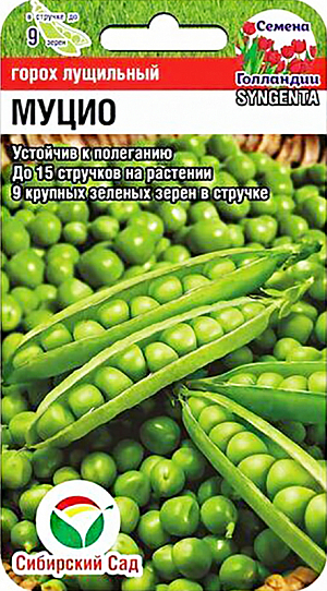 Семена Горох Муцио