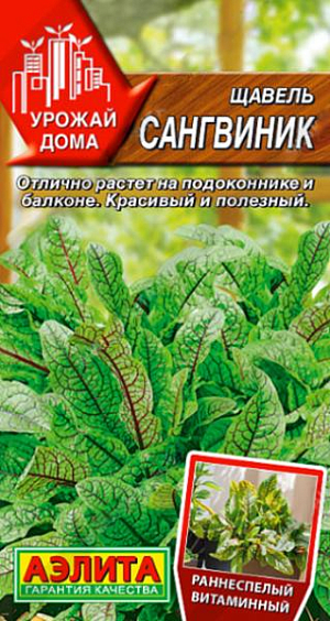 Семена Щавель Сангвиник
