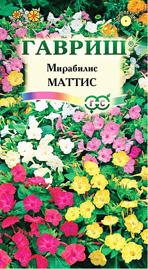 Семена Мирабилис Матис.
Травянистое растение. Кустики удлиненно-округлые, 30-80 см высотой, с клубневидными, вздутыми корнями.
Стебли прямостоячие, густоветвистые, красноватые, одревесневающие в нижней части. 
Цветки воронковидные, до 2,5 см в диаметре, белые, желтые, оранжевые, малиновые, пурпуровые, ярко-красные или двухцветные, по 3-5 в чашевидной обертке, собраны в щитковидные соцветия на концах побегов, душистые. Открываются с 16 часов и открыты до следующего утра. Свето- и теплолюбивое, засухоустойчивое растение. При длительной засухе приостанавливает развитие и цветение. Растение легко размножается семенами, которые высевают в парник в марте-апреле. 
Рассаду высаживают в открытый грунт после того, как минует угроза заморозков.