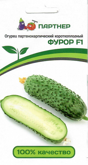 Семена Огурец Фуро F1