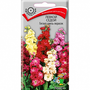 Семена Левкой седой Гигант смесь окрасок
