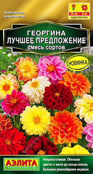 Семена&nbsp;Георгина Лучшее предложение, смесь сортов.&nbsp;Низкорослые георгины всегда пользовались популярностью у садоводов. Яркие махровые и полумахровые цветки диаметром 6-9 см. появляются уже через 3 месяца после всходов, и радуют своим пышным цветением до первых заморозков. Кустики высотой около 30 см, с большим количеством цветоносов. Растения достаточно неприхотливые, требуют минимального ухода. Прекрасно смотрятся на переднем плане цветников, в низких бордюрах и рабатках. Отлично растут в садовых контейнерах и балконных ящиках.<br>
 <br>
 Георгина – растение тепло- и светолюбивое. Предпочитает хорошо дренированные, плодородные почвы нейтральной кислотности. К концу вегетации образует корнеклубни, которые можно заложить на хранение и использовать для посадки в следующем сезоне.<br>