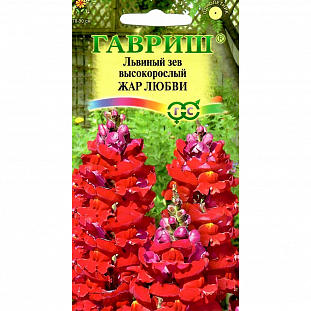 Семена Львиный зев высокорослый Жар любви