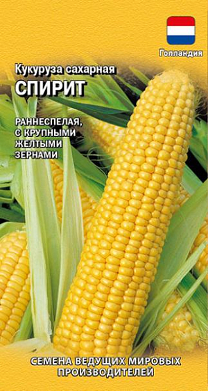 Семена Кукуруза сахарная Спирит