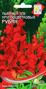 Львиный зев Рубин