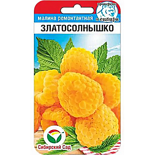 Малина Златосолнышко Малина Златосолнышко
