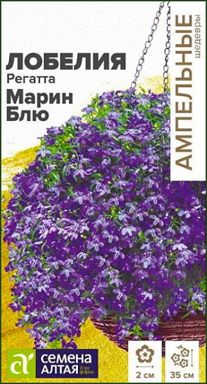 Семена Лобелия ампельная "Регатта Марин Блю".<br>
 <br>
 <br>
 Однолетние лобелии серии Regatta являются эталоном среди ампельных лобелий. Они сочетают в себе экстра раннее обильное и продолжительное цветение и широкий спектр окрасок. Растение сначала формирует сильноветвистый кустик высотой 15-20 см. и шириной до 30 см., и затем, продолжающие свой рост побеги, начинают ниспадать каскадами ярких цветов, достигая длины до 35 см. В период цветения все растение покрыто одиночными, до 2 см. в диаметре, темно-фиолетовыми цветками. Отлично подойдет для выращивания в подвесных кашпо и балконных ящиках, вазонах и больших контейнерах.<br>
 <br>
 &nbsp;Светолюбивое растение, которое довольно хорошо переносит затенение, достаточно холодостойкое. Предпочитает легкие нейтральные или слабокислые почвы. Посев на рассаду проводится в конце февраля – начале марта. Семена заключены в мультидраже, их равномерно распределяют по поверхности влажного субстрата, слегка вдавливая в него. Не заглубляйте семена!<br>
 <br>
 &nbsp;Для получения наилучшего результата посев рекомендуем проводить в торфяные таблетки (одно драже в таблетку). Посевы увлажняют, накрывают пленкой до появления первых всходов и помещают в светлое теплое (+20-25оС) место, ежедневно их следует проветривать. Всходы появляются через 5-8 дней. Рассаду перемещают в прохладное (+15-17оС) светлое место с рассеянным светом. В условиях короткого светового дня всходам требуется досвечивание. С появлением 1-2-х настоящих листочков сеянцы пикируют в рассадные емкости. В открытый грунт на постоянное место высаживают когда минует угроза заморозков. Посадочный интервал 25-35 см. Цветение начинается через 70-80 дней от посева, с июня по сентябрь. Обрезка растений после основного цветения стимулирует рост новых побегов и повторное цветение до глубокой осени. В этот период рекомендуется произвести подкормку комплексным минеральным удобрением.<br>
 <br>
 &nbsp;Внимание! Семена дражированные - оболочку драже не разрушать!<br>
 Одно мультидраже содержит 3-5 семян. Благодаря этому при пикировке растение высаживается плотными пучками.<br>
 <br>
 <br>