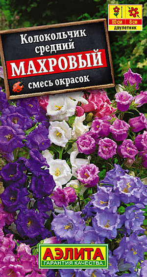 Семена Колокольчик Махровый смесь окрасок.
Эффектное двулетнее растение с крупными (ø 6-8 см) махровыми бокальчато-колокольчатыми цветками. Стебли прямостоячие, мощные, высотой до 80 см. Цветки собраны в большие пирамидальные соцветия 60-70 см длиной. Колокольчики светолюбивые, холодостойкие, влаголюбивые, но не переносят застоя воды в почве. Используются для одиночных и групповых посадок в сборных цветниках или рабатках. Отлично подходят для букетов, срезанные цветы сохраняются в воде до двух недель. Хороший медонос. 
Агротехника. Посев семян на рассаду. Всходы появляются через 8-14 дней при температуре 15°С. Через 2-3 недели сеянцы пикируют в отдельные горшочки. В открытый грунт рассаду высаживают в начале июня.