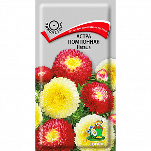 Семена Астра Наташа помпонная