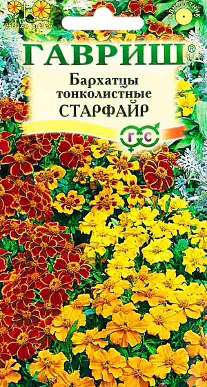 Семена Бархатцы тонколистные Старфайр.
Травянистое растение семейства Сложноцветные. Образует компактный густоветвящийся куст высотой 25-30 см. 
Соцветия-корзинки, диаметром до 3 см. Цветет с июня до заморозков. Светолюбивы и теплолюбивы, заморозков не переносят.
Предпочитают плодородные легкие почвы. Выращивают, как правило, рассадным способом. 
Посев проводят во второй половине марта – начале апреля. 
Всходы появляются через 4-8 дней после посева, сеянцы пикируют в фазе 2-го настоящего листа. 
Рассаду высаживают в начале июня, расстояние между растениями 20 см.
 Используют для посадки на клумбах, рабатках, бордюрах, в балконные ящики, можно использовать как горшечную культуру.
