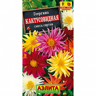 Семена Георгина Кактусовидная смесь окрасок