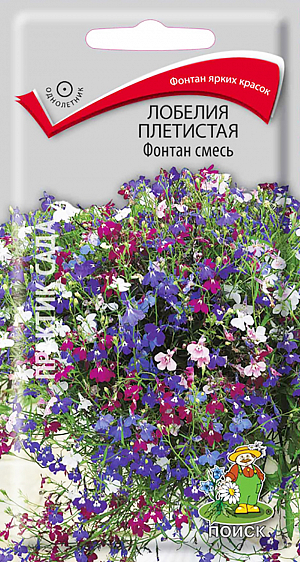Семена Лобелия плетистая Фонтан смесь.
Идеальная смесь для подвесных корзин и контейнеров. Многолетнее растение, используемое как однолетнее. Красивое травянистое растение со свисающими побегами (длиной до 30 см), усыпано цветками разнообразной окраски. Листья зелёные. Цветет с июня по сентябрь.
Агротехника. Растение неприхотливое, наибольшей декоративности достигает на открытых солнечных местах. Предпочитает суглинистые или супесчаные почвогрунты.
При выращивании рассады посевы проводят в феврале. Семена слегка вдавливают в почву, землей не присыпают. Посадочную емкость накрывают стеклом и ставят в освещенное теплое место. При температуре почвы +18°С всходы появляются на 7-14 день. Сеянцы пикируют в легкую землю. Рассаду высаживают после окончания весенних заморозков. Для лучшего кущения верхушки молодых растений прищипывают. Семена соответствуют требованиям международных стандартов и ГОСТу РФ 12260-81