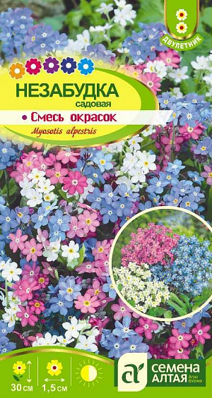 Семена Незабудка Смесь Окрасок альпийская<br>
 <br>
 Двулетнее красивоцветущее почвопокровное растение с ветвистым стеблем высотой 25-30 см. Листья сидячие заостренной ланцетной формы. Мелкие цветки, диаметром 1,0-1,5 см, различных окрасок: голубой, розовой, белой собраны в рыхлые кистевидные соцветия. Великолепно смотрится не только на клумбе, но и в горшке или балконном ящике. На балконе или террасе незабудки хороши в комбинации с другими двулетними растениями. Зимостойкое влаголюбивое растение. Предпочитает полутенистые участки с богатыми питательными веществами почвами.<br>