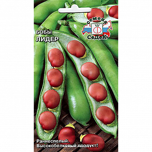 Семена Бобы Лидер