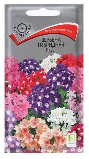 Популярное растение, с красивыми, слегка душистыми (вечером) соцветиями. Растение высотой 30 см. Миниатюрные цветки собраны в шаровидные соцветия до 5 см в диаметре, самых разнообразных ярких окрасок: розовые, вишневые, красные, нежно-голубые, лиловые, белые. Цветёт с июня по октябрь. Используют для клумб, рабаток.

Агротехника. Растение достаточно холодостойкоe, но предпочитает солнечные места с любой хорошо дренированной почвой. Для выращивания рассады посев семян производят в конце февраля – начале марта в ящики. Всходы появляются через 10-20 дней. Посадку на место производят в конце мая, выдерживая расстояние между растениями 30 см.

Семена соответствуют требованиям международных стандартов и ГОСТу РФ 12260-81