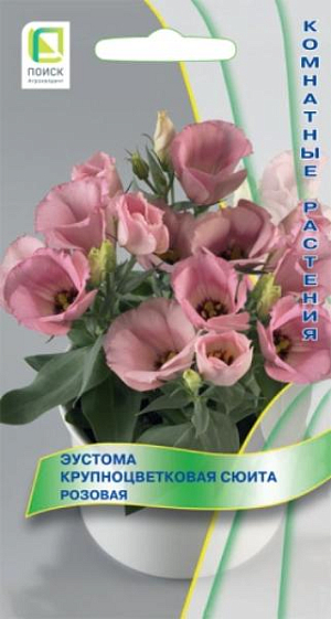 Генетически низкорослая крупноцветковая серия. Растение компактное с хорошим ветвлением, высотой 15-20 см. Листья сизо-зеленые, словно покрытые воском. Цветы крупные воронковидные розовые, диаметром 5 см. Не требует обрезки и прищипки. Выращивается в качестве горшечной культуры.

Агротехника. Предпочитает солнечное место. Требуется обильный полив по мере подсыхания почвы и частое опрыскивание листьев. Зимует при температуре +10°С. Еженедельные подкормки способствуют более пышному и продолжительному цветению. Драже высевают с февраля по август в ящики с легким песчаным грунтом, слегка вдавливая их в почву. Драже обильно опрыскивают из пульверизатора для растворения оболочки. Контейнеры накрывают плёнкой для обеспечения максимальной влажности воздуха и субстрата в первые 7-10 дней после посева. Оптимальная температура почвы для прорастания +20-25°С, всходы появляются через 10-15 дней. Сеянцы необходимо притенять, пикировать через месяц после всходов по 3-5 штук в горшок, диаметром 10-15 см, с питательной рыхлой почвой. Цветение через 6-7 месяцев.