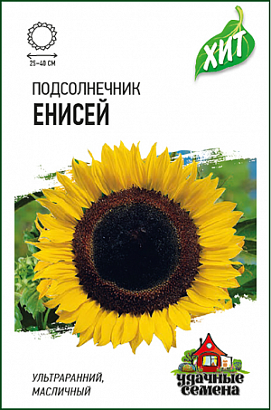 Семена Подсолнечник Енисей