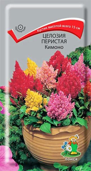 Семена Целозия Кимоно перистая.<br>
 <br>
 Коренастые целозии с плотными разноцветными соцветиями! Растения, хорошо разветвленные, высотой всего около 15 см. Соцветия метельчатые, густомахровые красные, бордовые, оранжевые, желтые, кремовые. Цветет с июня и до заморозков. Используют для ковровых цветников, балконных ящиков, контейнерной посадки. <br>
 <br>
Агротехника. Теплолюбивое и светолюбивое растение, достаточно засухоустойчивое. Хорошо растет на рыхлых плодородных почвах. Семена высевают в марте в рассадные ящики. Глубина заделки семян 0,3 см. При температуре почвы +18-25°С всходы появляются через 14-20 дней. После появления первой пары настоящих листьев сеянцы пикируют по одному. В грунт рассаду высаживают, когда минует угроза весенних заморозков. Расстояние между растениями 15-20 см.
Семена соответствуют требованиям международных стандартов и ГОСТу РФ 12260-81
