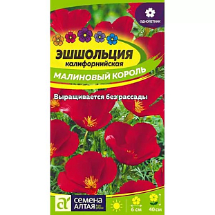 Эшшольция Лиловый луч