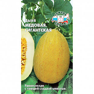 Семена Дыня Медовая гигантская