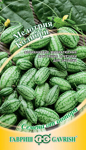 Семена Мелотрия шершавая Колибри