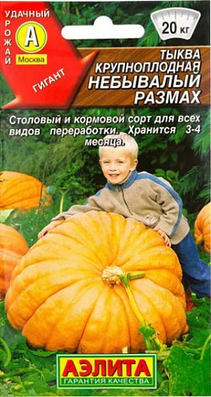 Семена Тыква крупноплодная Небывалый размах