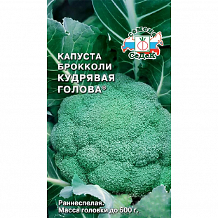 Семена Капуста брокколи Кудрявая голова