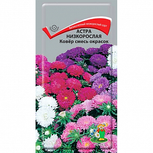 Семена Астра Ковер низкорослая смесь окрасок