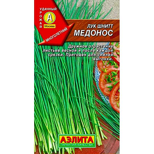 Семена Лук шнитт Медонос
