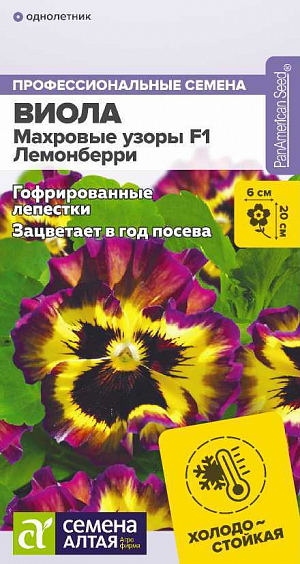 Семена Цветы Виола Махровые узоры Лемонберри F1.<br>
<br>
Холодостойкий гибрид виолы, зацветающий уже в год посева. Не боится холода, при понижении температуры цветки становятся более гофрированными. Не теряет декоративности при неблагоприятных условиях. Цветки крупные, выразительные, с интересным сочетанием оттенков: в центре темная «мордашка» на лимонно-желтом фоне и светло-фиолетовая кайма по краям. Прекрасно подойдет для выращивания на клумбах, в бордюрных посадках и в альпийских горках.<br>
<br>
  Высота растения: 15-20 см. Ширина растения: 20-25 см. Диаметр цветка: 5-6 см.<br>
<br>
  Условия выращивания, место посадки: полутень, хорошо освещенные места. Требования к грунту: питательный легкий грунт, слабокислый.Способы выращивания: рассадный. Время посева на рассаду: февраль-март.<br>
<br>
  Способ посева: семена высевают на уплотненное ложе замоченных торфяных таблеток или увлажненного грунта, заделывая на глубину 0,2-0,3 см. Емкость накрывают прозрачной крышкой или пленкой до появления первых всходов, периодически проветривают. Оптимальная температура +16…21°С днем и +10…13°С ночью. После появления первых всходов рекомендуется организовать досветку до 10-12 часов в сутки.<br>
<br>
  Время до появления всходов: 7-20 дней<br>
<br>
  Перевалка: производится в стадии 2-4 настоящих листьев в рассадные емкости диаметром около 9 см, около 5 недель после посева<br>
 Время высадки в открытый грунт: май, не менее 8 недель от посева<br>
 Посадочное расстояние: 15-20 см<br>
 Период цветения: май-октябрь, с 8-10 недели от полных всходов<br>
<br>
 Уход: необходим регулярный полив и неглубокое рыхление грунта. Первую подкормку проводят в начале бутонизации фосфорно-калийным удобрением, далее 1 раз в 3-4 недели небольшими дозами фосфорно-калийных удобрений.