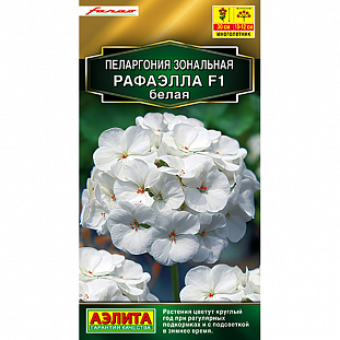 Семена Пеларгония Рафаэлла F1 белая