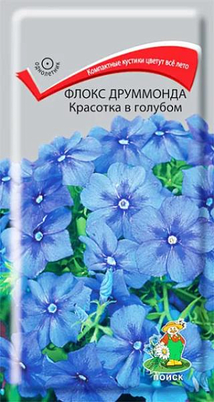 Семена Флокс Друммонда Красотка в голубом.
Все лето растение усеяно яркими соцветиями. Кустик компактный, высотой до 25 см. Цветки диаметром 3 см собраны в зонтиковидный щиток. Цветет обильно с июня по октябрь. Используют для посадки на клумбах, рабатках, бордюрах, для оформления каменистых горок. 
Агротехника. Наибольшей декоративности достигает на солнечных местах и легких, плодородных почвах. Семена высевают в марте-апреле в рассадные ящики, слегка присыпая землей. При температуре почвы +18-20°С всходы появляются через 10-20 дней. Рассаду высаживают на постоянное место в конце мая, выдерживая расстояние между растениями 10-15 см. Возможен посев непосредственно в грунт в мае. Семена соответствуют требованиям международных стандартов и ГОСТу РФ 12260-81