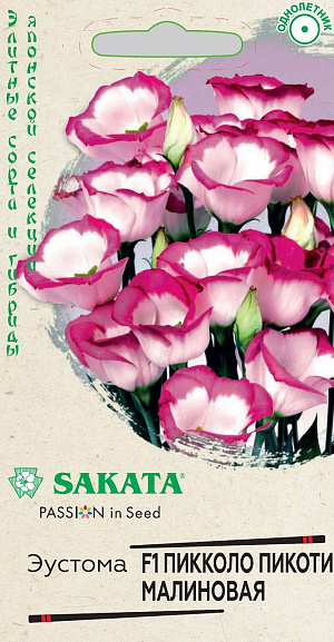 Семена Эустома Пикколо Пикоти малиновая.<br>
Нежное однолетнее растение из семейства Горечавковые. Романтичная серия «Пикколо» создавалась японскими селекционерами для срезки. Небольшой аккуратный простой цветок белого цвета с малиновой каймой по краю лепестков на длинном (80-100 см) прочном стебле смотрится в букетах трогательно и изящно. Предпочитает солнечные места, окультуренную почву, регулярные поливы и опрыскивания. Для получения цветущих растений в июле-августе посевы проводят в конце февраля-начале марта. Семена мелкие, их не присыпают, оставляя на поверхности субстрата, увлажняют из распылителя и накрывают стеклом. Всходы появляются через 10-15 дней при температуре +20-21оС. Необходим свет. Сеянцы пикируют в стадии 2-3-х настоящих листьев в отдельные горшки. В грунт высаживают, когда минует угроза заморозков. Используют для украшения клумб, рабаток, бордюров и срезки.