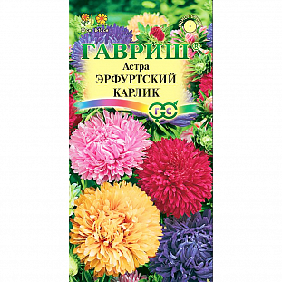 Семена Астра Эрфуртский Карлик