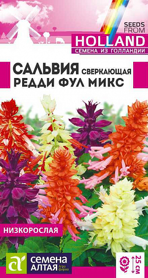 Семена сальвия Ред Фулл микс.<br>
 <br>
Один из самых популярных однолетников. Куст компактный, высотой до 25 см. Плотно расположенные цветки различных окрасок образуют хорошо упакованные соцветия и вместе с темно-зеленой листвой сохраняют окраску весь сезон. Для продления цветения отцветшие соцветия обрезают. Используются для оформления парадных цветников, рабаток, горок. Идеальное растение для горшечных композиций. Растение тепло-, свето- и влаголюбивое. Предпочитает солнечные участки и легкий песчаный водопроницаемый грунт, богатый известью и гумусом. Посев на рассаду в ящики проводят с середины февраля до начала марта. Высевают семена во влажный субстрат поверхностно, посевы увлажняют из распылителя и накрывают прозрачной пленкой. Температура содержания – около 25 ºС. Всходы появятся через 15-30 дней, их пикируют дважды. Первый раз при появлении двух-трех настоящих листьев сеянцы пересаживают в другой ящик с интервалом 5 см. Второй раз – через три недели после первой пикировки в отдельные горшочки диаметром 10-12 см. С развитием четвертого настоящего листа ростки прищипывают для стимуляции кущения. В открытый грунт рассаду высаживают в начале июня, выдерживая посадочный интервал 20-25 см. Цветет обильно с июля до осенних заморозков.
