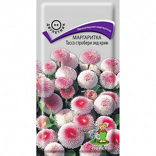 Семена Маргаритка Тассо стробери энд крим