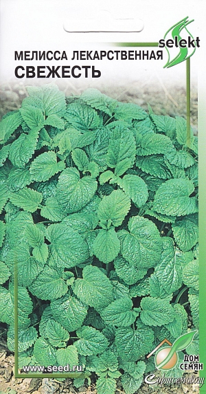 Мелисса Свежесть