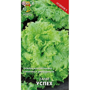 Семена Салат Успех