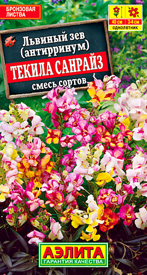 Семена Львиный зев Текила санрайз, смесь. <b>Специальная смесь для любителей необычного. </b>Ароматный цветок удивляет широко открытым зевом, а всё растение – темной бронзовой листвой. Листья служат отличным фоном для плотных соцветий ярких солнечных оттенков. Растения среднерослые, хорошо кустящиеся, высотой около 60 см. Пышные кусты прекрасно смотрятся в садовых цветниках, пригодны для контейнерной культуры и на срезку в букеты. В вазе кисть стоит две недели и распускается до последнего бутона. Понравившееся растение можно сохранить зимой в непромерзающем помещении и зачеренковать весной.<br>
 В смесь входят окраски: белая, красная, желтая, оранжевая и розовая – по 20%.<br>
 <br>
 Семена высевают поверхностно, без заделки, увлажняют из распылителя и накрывают стеклом для поддержания постоянной влажности до всходов. В фазе одной пары настоящих листьев сеянцы пикируют. В фазе четырех-пяти пар листьев проводят формирующую прищипку.