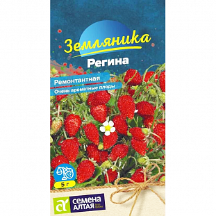 Семена Земляника (клубника) Регина ремонтантная