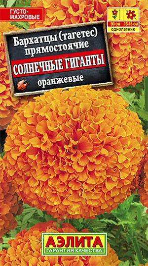 <div>
 Семена Бархатцы Солнечные гиганты оранжевые.
</div>
 Однолетник. Высота 90 см. Диаметр 15 см.<br>
 Высокорослые бархатцы с непревзойденно крупными густомахровыми соцветиями диаметром 13-15 см. Кусты до 90 см в высоту, мощные, ветвистые, с множеством крепких цветоносов. Не заваливаются под воздействием дождя и ветра. Растения неприхотливые, не требовательные к почвам. Используются в групповых и одиночных посадках, на заднем плане смешанных цветников, в высоких бордюрах. Один из лучших сортов бархатцев для срезки, соцветия стоят в воде до 15 дней.<br>
Посев.&nbsp;Выращивают рассадным способом. В фазе одного – двух настоящих листьев сеянцы пикируют. Рассаду высаживают в открытый грунт, когда минует опасность заморозков. Растениям необходимы регулярные поливы, прополки, рыхления и подкормки. Возможен посев семян в открытый грунт на глубину 1 см.