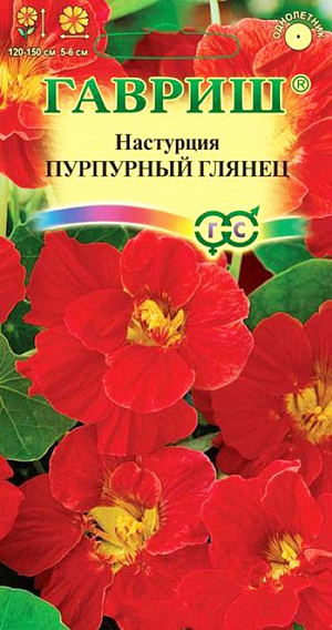 Семена Настурция Пурпурный глянец.
Однолетнее травянистое растение семейства Настурциевые с плетистыми побегами длиной до 1,2 м. Цветет обильно с июня до заморозков. Цветки ярко-красные махровые 5-6 см в диаметре. Теплолюбива и светолюбива. Предпочитает умеренно плодородные, влажные почвы. Выращивают рассадным способом или прямым посевом в открытый грунт. Для получения рассады семена высевают в апреле в горшки (по 2-3 в лунку). Всходы появляются через 10-14 дней. В открытый грунт растения высаживают, не нарушая земляной ком в конце мая-начале июня на расстоянии 40-45 см. Посев в открытый грунт проводят в мае предварительно намоченными в течение суток семенами по 3-4 шт. в лунку. Используется для вертикального озеленения и как ампельное растение.