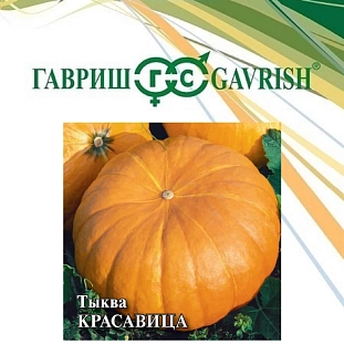 Семена Тыква Красавица