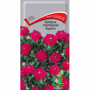 Семена Вербена гибридная Маджента