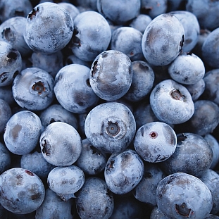 Голубика Пелле