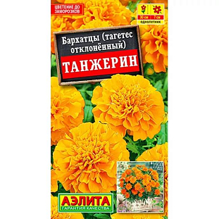 Семена Бархатцы Танжерин обильноцветущие